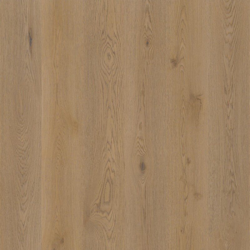 Therdex 15063
