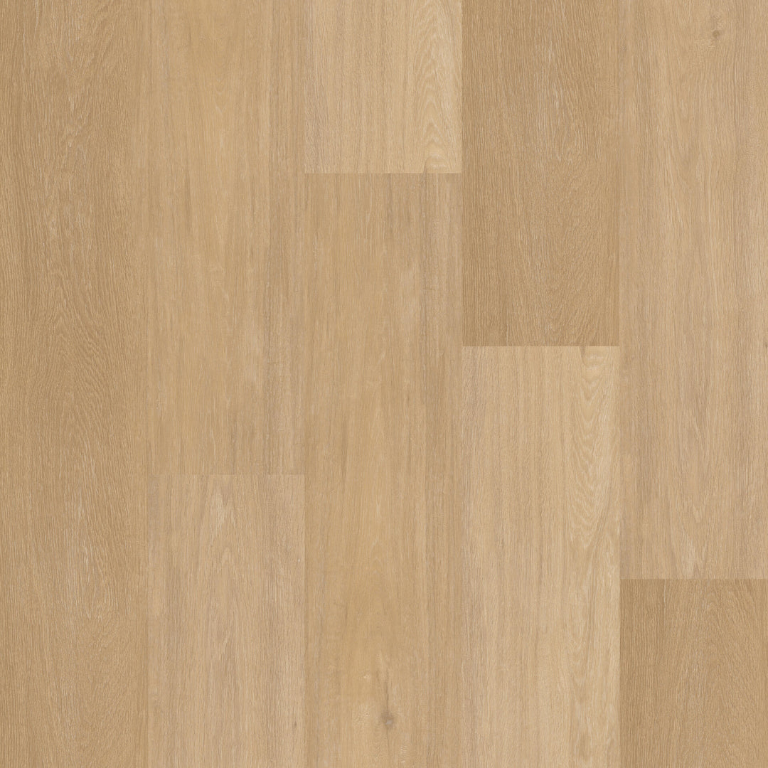 Therdex Recht Dryback 12041