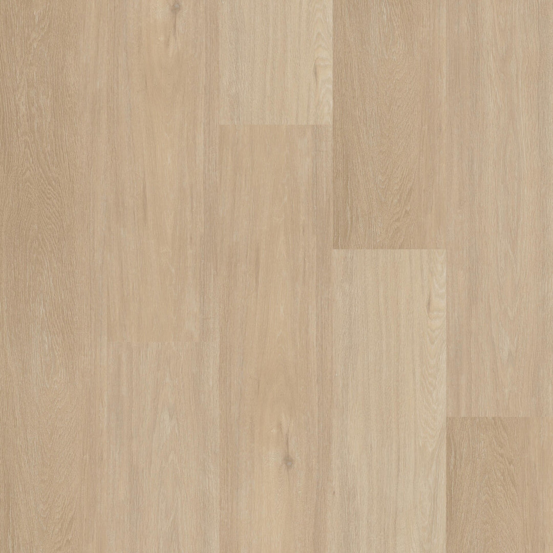 Therdex Recht Dryback 12042