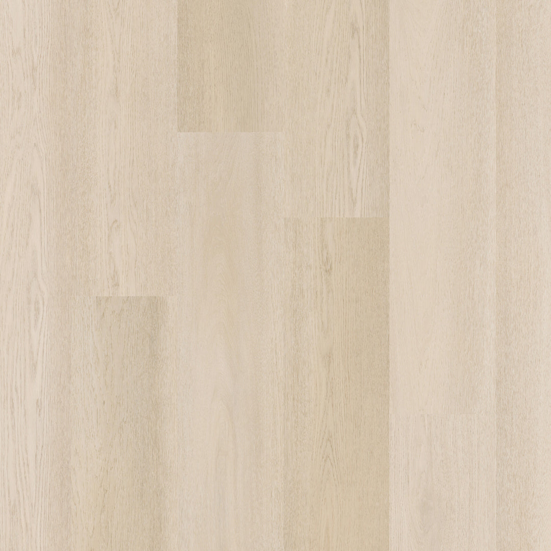 Therdex Recht Dryback 15081