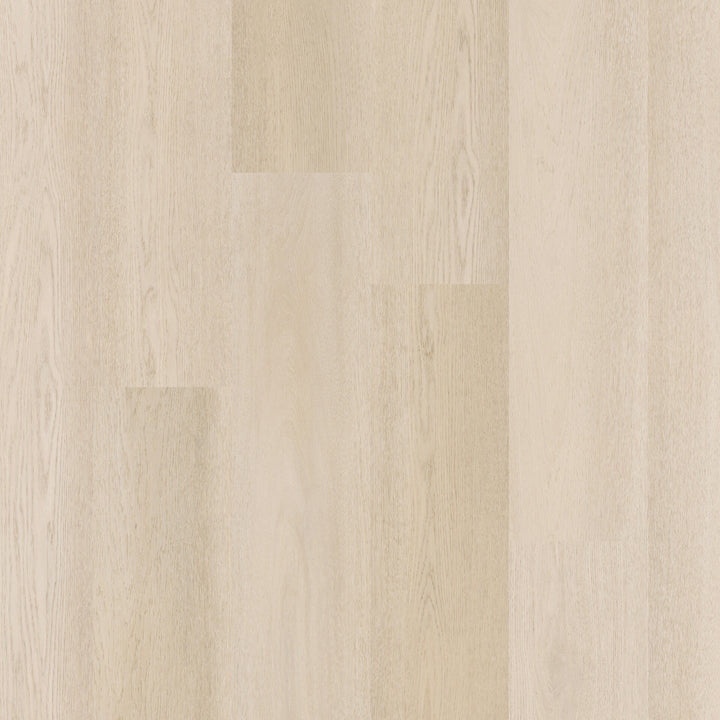Therdex Recht Dryback 15081