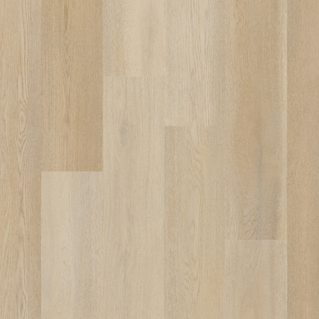 Therdex Recht Dryback 15082