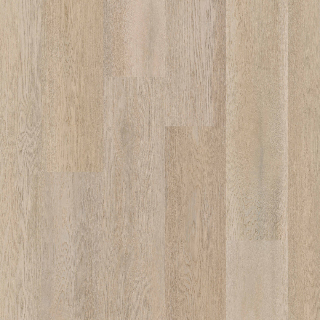 Therdex Recht Dryback 15083