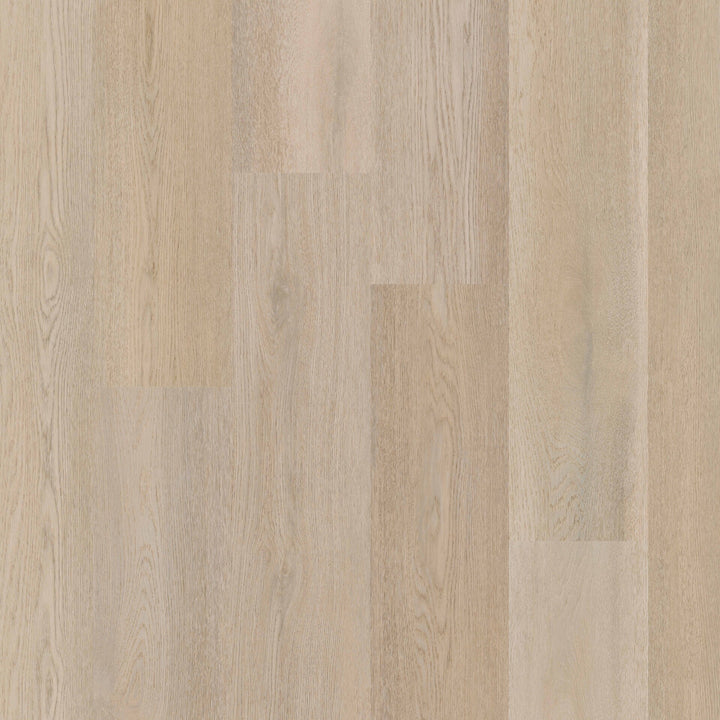 Therdex Recht Dryback 15083