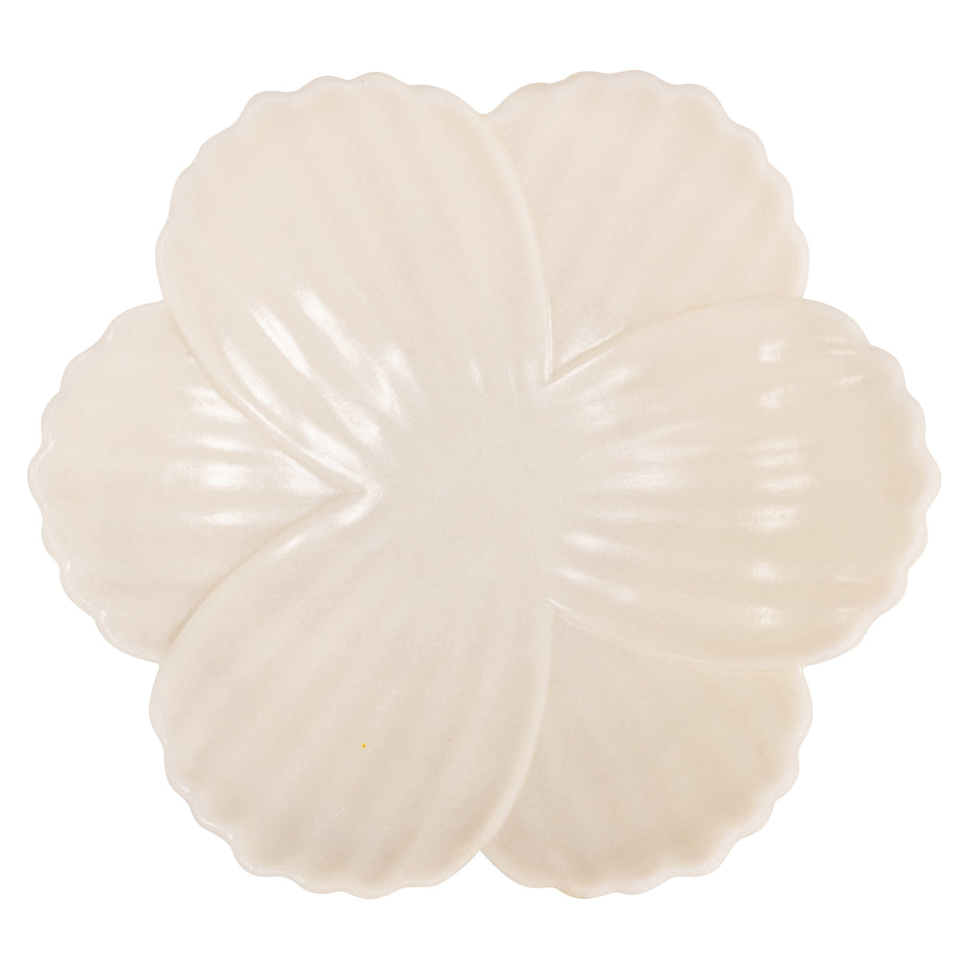 Schaal Xena white S