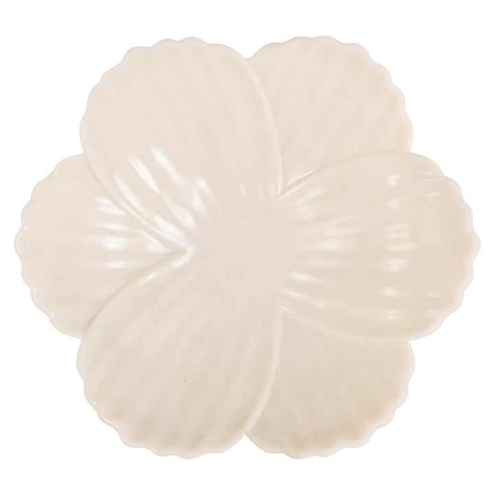 Schaal Xena white S