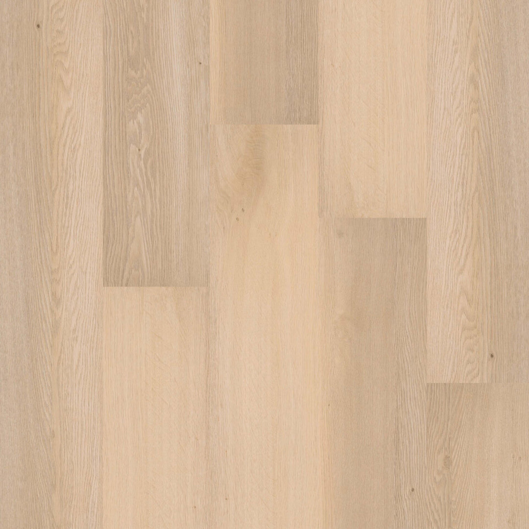 Therdex Recht Dryback 70010