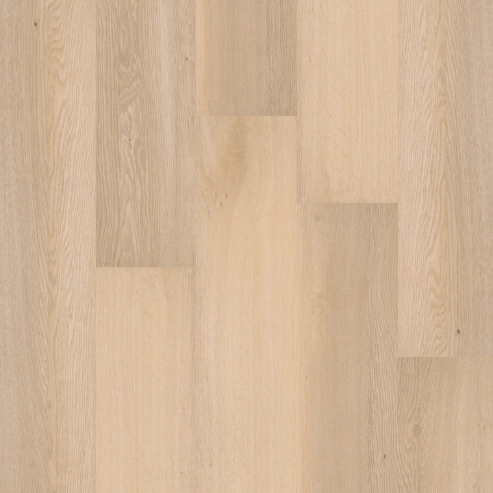 Therdex Recht Dryback 70010